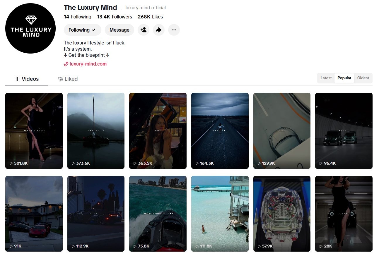 The Luxury Mind TikTok